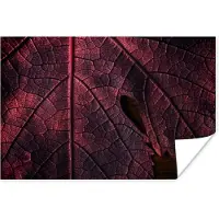 PosterMonkey Poster Abstract - Rood - Bladeren - Plant - 60x40 cm