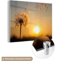 MuchoWow Glasschilderij 40x30 cm - Schilderij acrylglas - Paardenbloem - Zon - Zonsondergang - Foto op glas - Schilderijen