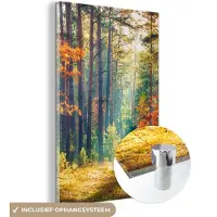 MuchoWow - Glasschilderij - Wanddecoratie - Bos - Bladeren - Natuur - Herfst - Foto op glas - Acrylglas - Schilderij glas - 60x90 cm - Glasschilderij natuur - Muurdecoratie - Schilderijen woonkamer