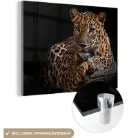 MuchoWow Glasschilderij luipaard - Boomstam - Dieren - Portret - Wanddecoratie - Woonkamer - 160x120 cm - Schilderij glas - Foto op glas - Woonaccessoires - Muurdecoratie - Glasplaat