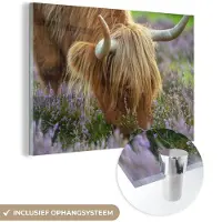 MuchoWow Glasschilderij 120x80 cm - Schilderij acrylglas - Schotse Hooglander - Hoorns - Heide - Foto op glas - Schilderijen