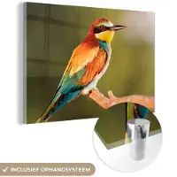 MuchoWow Glasschilderij 180x120 cm - Schilderij acrylglas - Vogels - Bijeneter - Regenboog - Dieren - Foto op glas - Schilderijen