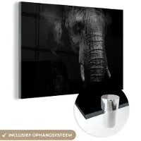 MuchoWow Glasschilderij 150x100 cm - Schilderij acrylglas - Olifant - Dier - Portret - Foto op glas - Schilderijen
