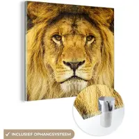 MuchoWow Glasschilderij 50x50 cm - Schilderij acrylglas - Leeuw - Portret - Bruin - Foto op glas - Schilderijen