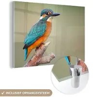 MuchoWow Glasschilderij 180x120 cm - Schilderij acrylglas - Vogel - IJsvogel - Tak - Foto op glas - Schilderijen