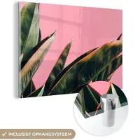 MuchoWow Glasschilderij 180x120 cm - Schilderij acrylglas - Planten - Bladeren - Vrouwentong - Roze - Tropisch - Foto op glas - Schilderijen