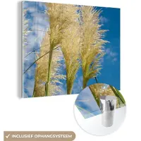 MuchoWow Glasschilderij 160x120 cm - Schilderij acrylglas - Planten - Pampasgras - Lucht - Foto op glas - Schilderijen