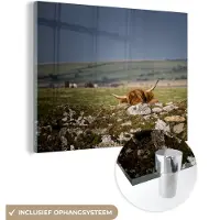 MuchoWow Glasschilderij 120x90 cm - Schilderij acrylglas - Schotse Hooglander - Stenen - Gras - Foto op glas - Schilderijen