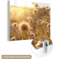 MuchoWow Glasschilderij 160x120 cm - Schilderij acrylglas - Planten - Natuur - Bloemen - Zon - Horizon - Foto op glas - Schilderijen