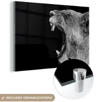 MuchoWow - Glasschilderij - Foto op glas - Dieren - Leeuw - Jungle - Zwart-wit - Wanddecoratie - 150x100 cm - Acrylglas - Muurdecoratie glas - Schilderij leeuw
