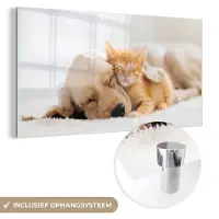 MuchoWow Glasschilderij - Foto op glas - Kat - Hond - Poes - Kitten - Deken - Dieren - Wanddecoratie - 80x40 cm - Acrylglas - Schilderij dieren - Muurdecoratie - Schilderij glas