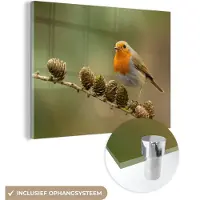 MuchoWow Glasschilderij - Vogel - Roodborstje - Dennenappels - Tak - Herfst - Acrylglas - Foto op glas - 40x30 cm - Glasschilderij natuur - Glasschilderij vogels - Muurdecoratie glas - Woondecoratie
