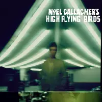 Import High flying birds