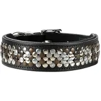 Hunter Halsband Arizona