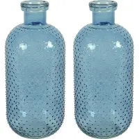 Countryfield Bloemenvaas Cactus Dots - 2x - blauw transparant - glas - D15 x H35 cm