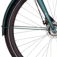 Cortina Cort v spatb stang 28 Speed matt beryl green