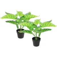 Countryfield Kunstplant Alocasia plant in bloempot - 2x - Groen - 15 x 32 cm