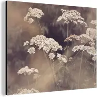 MuchoWow Wanddecoratie Metaal - Aluminium Schilderij Industrieel - Plant - Wit - Natuur - Bloemen - 80x60 cm - Dibond - Foto op aluminium - Industriële muurdecoratie - Voor de woonkamer/slaapkamer