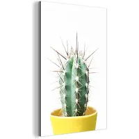 MuchoWow Wanddecoratie Metaal - Aluminium Schilderij Industrieel - Cactus - Planten - Natuur - Groen - 100x150 cm - Dibond - Foto op aluminium - Industriële muurdecoratie - Voor de woonkamer/slaapkamer