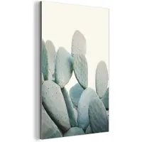 MuchoWow Wanddecoratie Metaal - Aluminium Schilderij Industrieel - Plant - Groen - Cactus - Natuur - 80x120 cm - Dibond - Foto op aluminium - Industriële muurdecoratie - Voor de woonkamer/slaapkamer