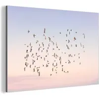 MuchoWow Wanddecoratie Metaal - Aluminium Schilderij Industrieel - Vogels - Zee - Lucht - Natuur - Zomer - 180x120 cm - Dibond - Foto op aluminium - Industriële muurdecoratie - Voor de woonkamer/slaapkamer