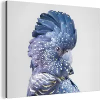 MuchoWow Wanddecoratie Metaal - Aluminium Schilderij Industrieel - Kaketoe - Blauw - Dieren - Natuur - 160x120 cm - Dibond - Foto op aluminium - Industriële muurdecoratie - Voor de woonkamer/slaapkamer