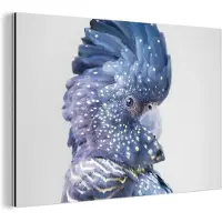 MuchoWow Wanddecoratie Metaal - Aluminium Schilderij Industrieel - Kaketoe - Blauw - Dieren - Natuur - 180x120 cm - Dibond - Foto op aluminium - Industriële muurdecoratie - Voor de woonkamer/slaapkamer