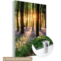 MuchoWow - Glasschilderij - Acrylglas - Schilderij - Bos - Natuur - Bloemen - Zon - 60x80 cm - Wanddecoratie - Foto op glas - Glasschilderij natuur