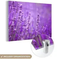 MuchoWow Glasschilderij - Foto op glas - Acrylglas - Bloemen - Paars - Lavendel - Natuur - 120x80 cm - Schilderij glas - Schilderij paars - Glasschilderij natuur - Woondecoratie
