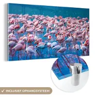 MuchoWow - Glasschilderij - Foto op glas - Acrylglas - Dieren - Flamingo - Zwart - Wit - Grijs - Wanddecoratie - 80x40 cm - Glasschilderij dieren - Schilderij glas - Decoratie woonkamer
