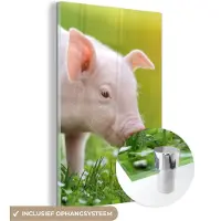 MuchoWow Glasschilderij 20x30 cm - Schilderij acrylglas - Dieren - Biggetje - Varken - Foto op glas - Schilderijen