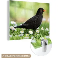 MuchoWow Glasschilderij - Foto op glas - Acrylglas - Vogel - Merel - Bloemen - Landschap - 80x60 cm - Glasschilderij bloemen - Wanddecoratie glas - Glasschilderij vogels - Muurdecoratie dieren