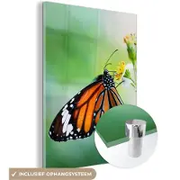 MuchoWow Glasschilderij 90x120 cm - Schilderij acrylglas - Vlinder - Bloemen - Insecten - Foto op glas - Schilderijen