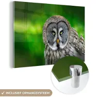 MuchoWow - Glasschilderij - Foto op glas - Vogel - Uil - Dieren - Acrylglas - 90x60 cm - Slaapkamer - Glasschilderij vogels - Glasschilderij uil - Wanddecoratie glas