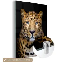 MuchoWow Glasschilderij 30x40 cm - Schilderij acrylglas - Panter - Dieren - Zwart - Foto op glas - Schilderijen