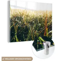 MuchoWow Glasschilderij 40x30 cm - Schilderij acrylglas - Grasveld - Pampasgras - Gras - Foto op glas - Schilderijen