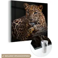 MuchoWow Glasschilderij luipaard - Boomstam - Dieren - Portret - Wanddecoratie - Woonkamer - 90x90 cm - Schilderij glas - Foto op glas - Woonaccessoires - Muurdecoratie - Glasplaat
