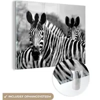MuchoWow Glasschilderij 80x60 cm - Schilderij acrylglas - Zebra - Zwart - Wit - Dieren - Foto op glas - Schilderijen
