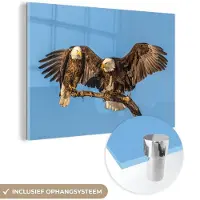 MuchoWow - Glasschilderij - Vogel - Takken - Arend - Roofvogels - Lucht - Acrylglas - Foto op glas - 30x20 cm - Wanddecoratie - Glasschilderij natuur - Glasschilderij vogels