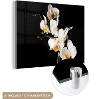MuchoWow Glasschilderij 40x30 cm - Schilderij acrylglas - Orchidee - Bloemen - Planten - Botanisch - Foto op glas - Muurdecoratie woonkamer - Wanddecoratie slaapkamer - Schilderijen