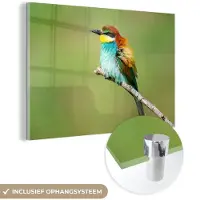 MuchoWow Glasschilderij 60x40 cm - Schilderij acrylglas - Vogel - Dieren - Bijeneter - Foto op glas - Schilderijen