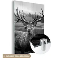 MuchoWow Glasschilderij - Foto op glas - Dieren - Hert - Gewei - Bos - Natuur - 30x40 cm - Acrylglas - Muurdecoratie glas - Glasschilderij hert - Glasschilderij dieren - Kamerdecoratie