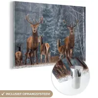 MuchoWow - Glasschilderij - Hert - Winter - Natuur - Wanddecoratie - Foto op glas - Acrylglas - 120x80 cm - Glasschilderij dieren - Muurdecoratie - Schilderij glas