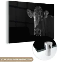 MuchoWow - Glasschilderij - Foto op glas - Acrylglas - Dieren - Koe - Zwart - Wit - 120x80 cm - Woonkamer - Glasschilderij koe - Muurdecoratie glas - Glasschilderij zwart wit