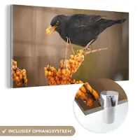 MuchoWow Glasschilderij - Foto op glas - Vogel - Merel - Winter - IJs - Bes - Acrylglas - 120x60 cm - Glasschilderij vogels - Muurdecoratie - Glasschilderij natuur - Wanddecoratie - Woonkamer