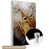 MuchoWow Glasschilderij 60x90 cm - Schilderij acrylglas - Vogel - Oog - Snavel - Foto op glas - Schilderijen