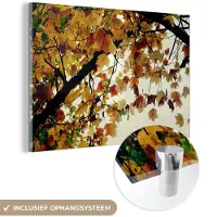 MuchoWow Glasschilderij 30x20 cm - Schilderij acrylglas - Bomen - Herfstbladeren - Natuur - Foto op glas - Schilderijen