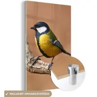 MuchoWow - Glasschilderij - Foto op glas - Koolmees - Vogel - Takken - 60x90 cm - Acrylglas - Glasschilderij natuur - Schilderij glas - Glasschilderij vogels - Woonkamer