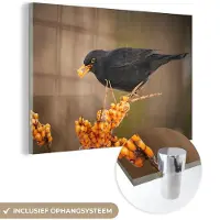 MuchoWow Glasschilderij - Foto op glas - Vogel - Merel - Winter - IJs - Bes - Acrylglas - 120x80 cm - Glasschilderij vogels - Muurdecoratie - Glasschilderij natuur - Wanddecoratie - Woonkamer