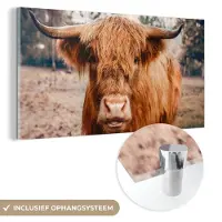 MuchoWow - Glasschilderij - Schotse hooglander - Dieren - Koe - Foto op glas - Acrylglas - 40x20 cm - Glasschilderij Schotse hooglander - Glasschilderij dieren - Schilderij glas
